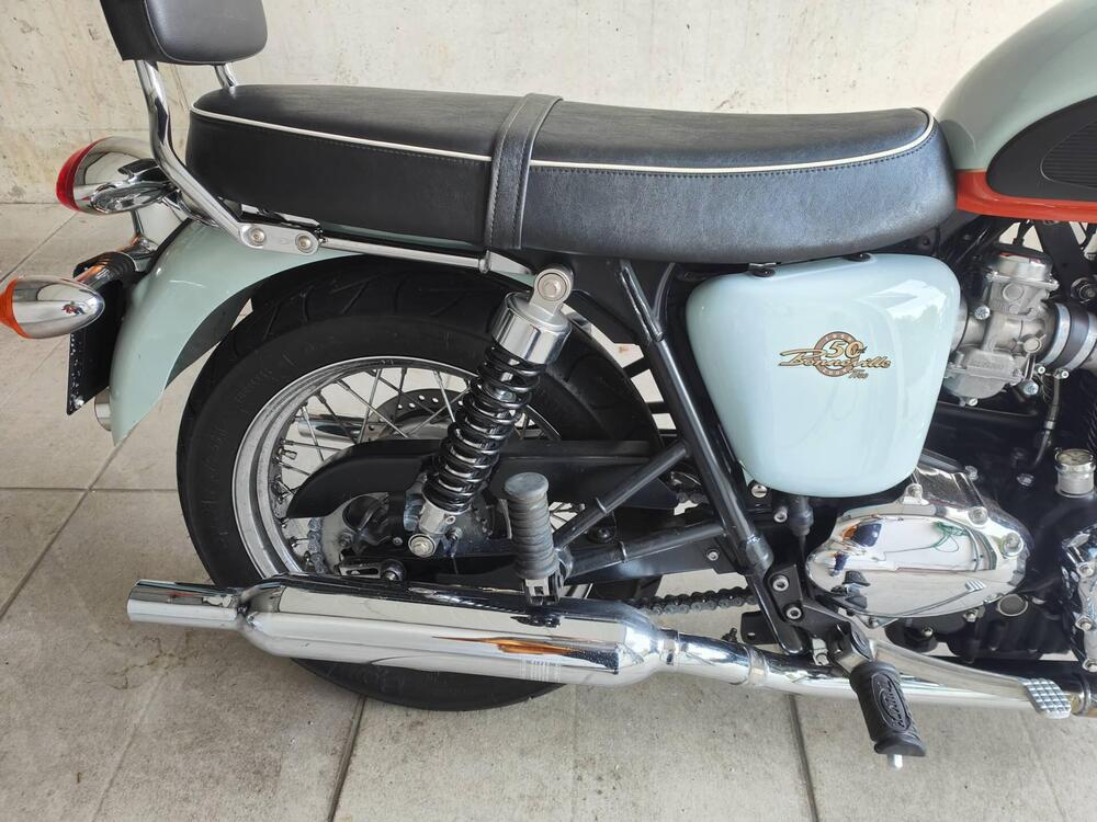 Triumph Bonneville T100 50th Anniversary (2009) (7)