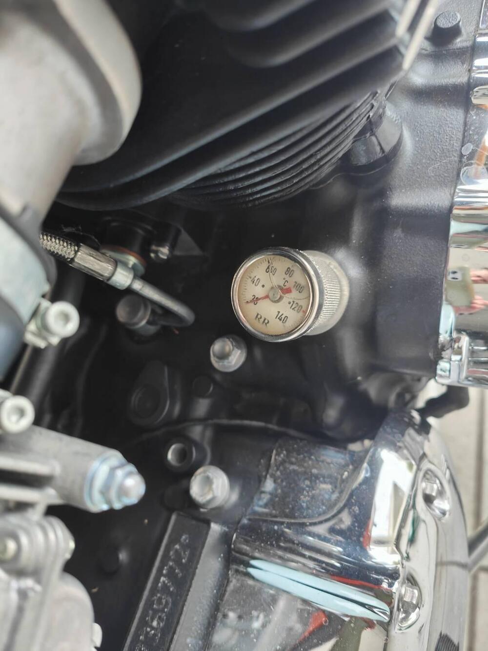 Triumph Bonneville T100 50th Anniversary (2009) (11)