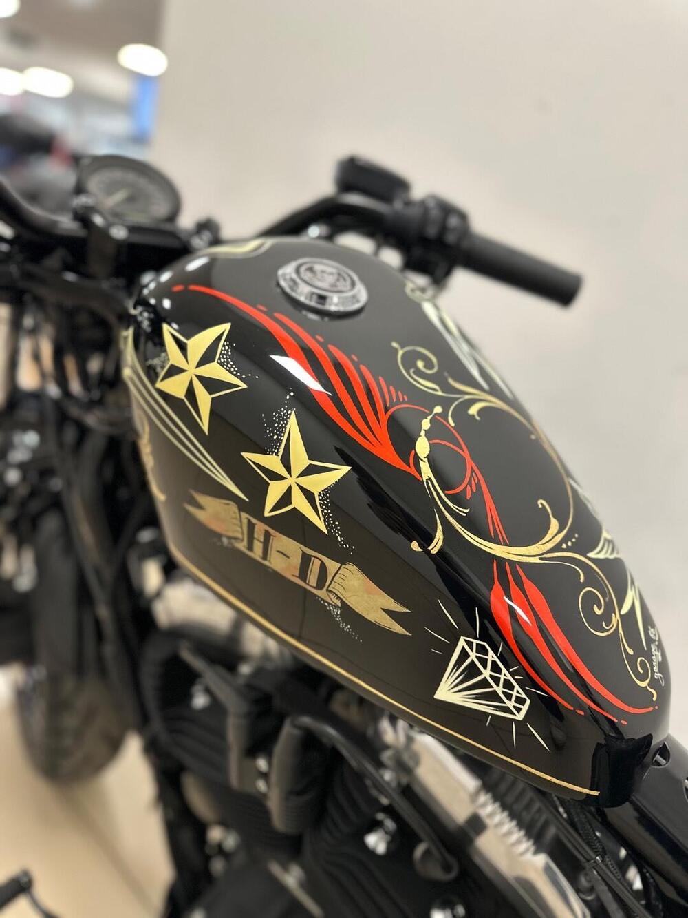 Harley-Davidson 1200 Forty-Eight (2010 - 15) (4)