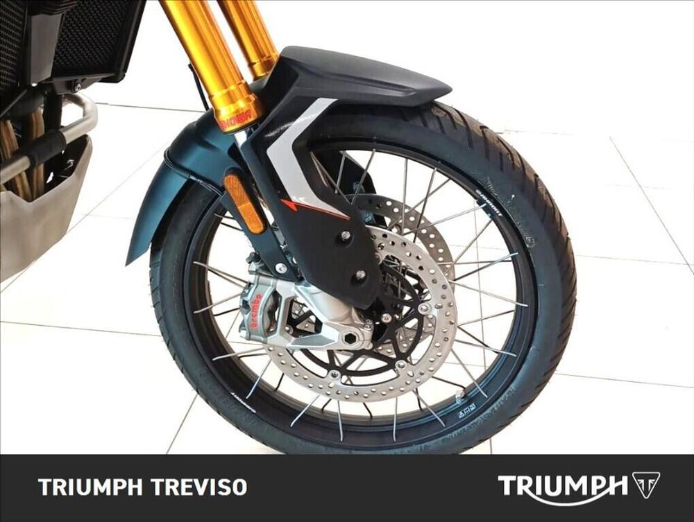 Triumph Tiger 900 Rally Pro (2024 - 26) (4)