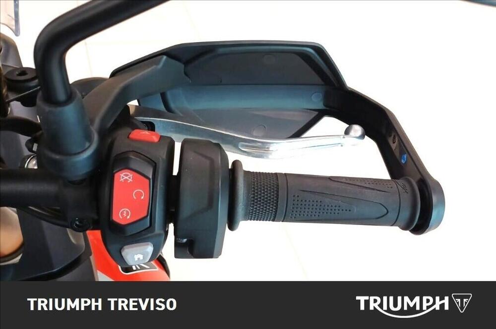 Triumph Tiger 900 Rally Pro (2024 - 26) (6)