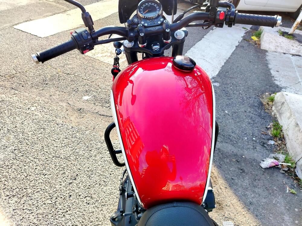 Triumph Bonneville SE (2009 - 13) (3)