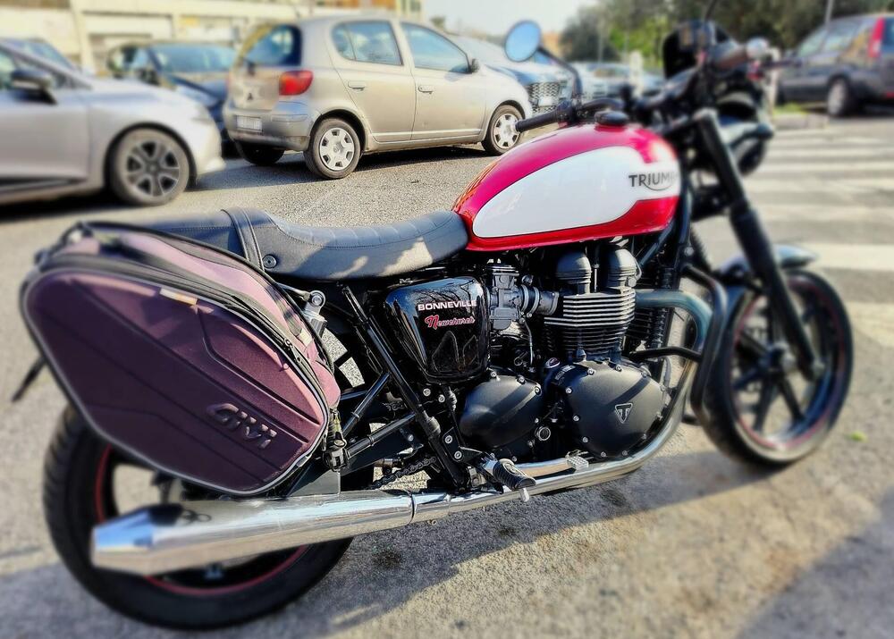 Triumph Bonneville SE (2009 - 13) (5)