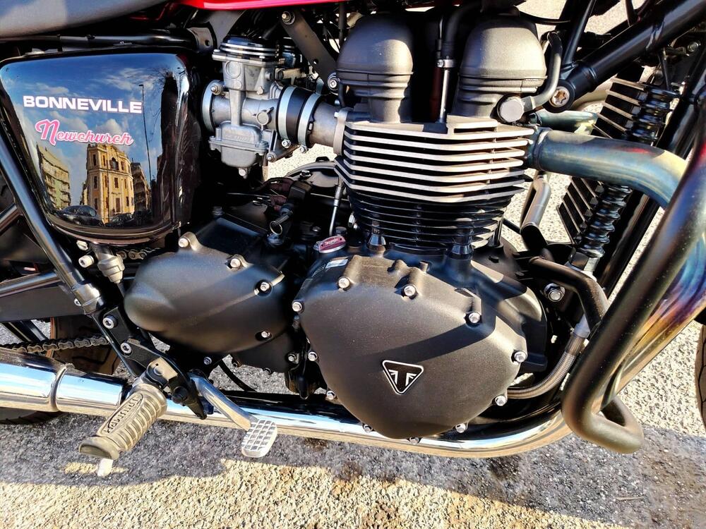 Triumph Bonneville SE (2009 - 13) (8)