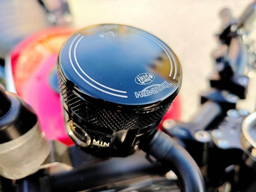 Triumph Bonneville SE (2009 - 13) (10)