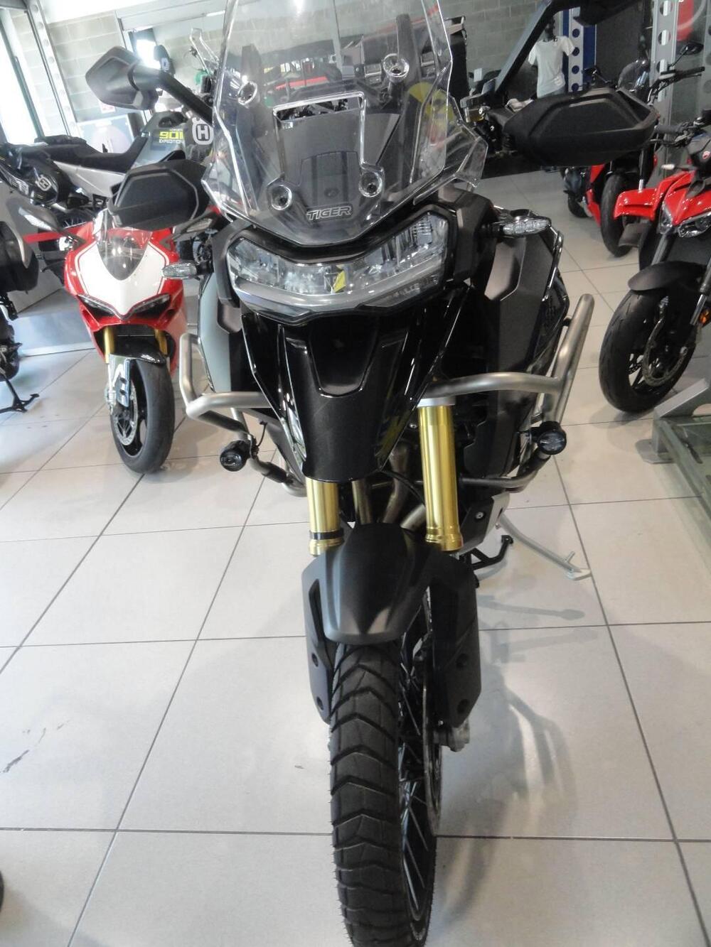 Triumph Tiger 1200 Rally Pro (2024 - 26) (5)