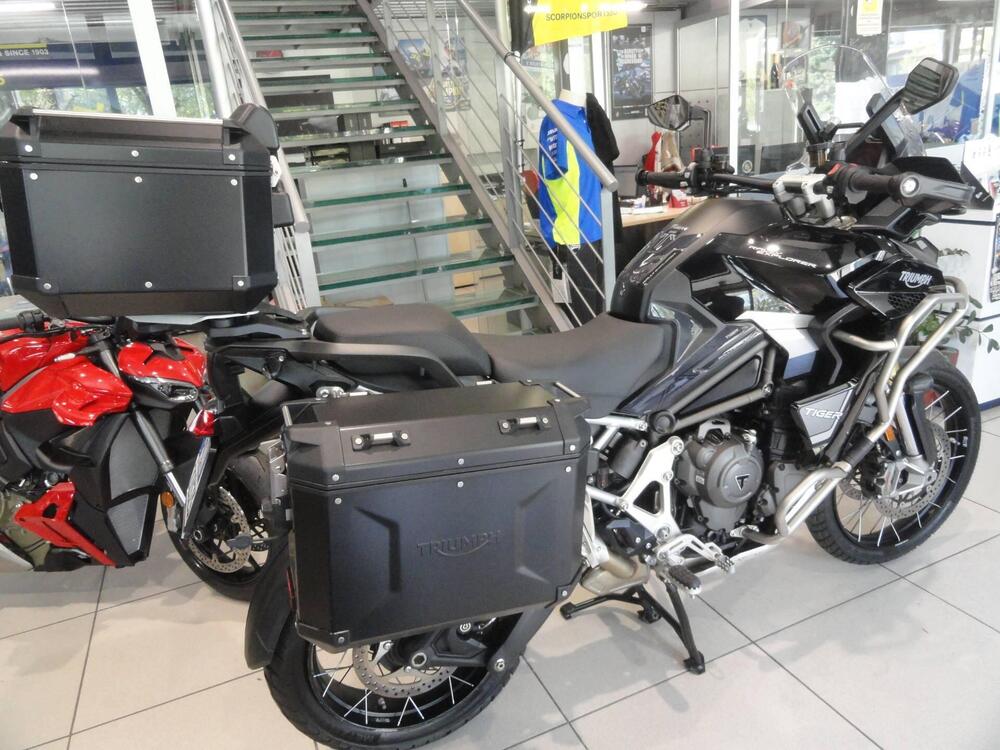 Triumph Tiger 1200 Rally Pro (2024 - 26) (7)