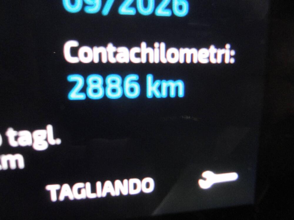 Triumph Tiger 1200 Rally Pro (2024 - 26) (8)