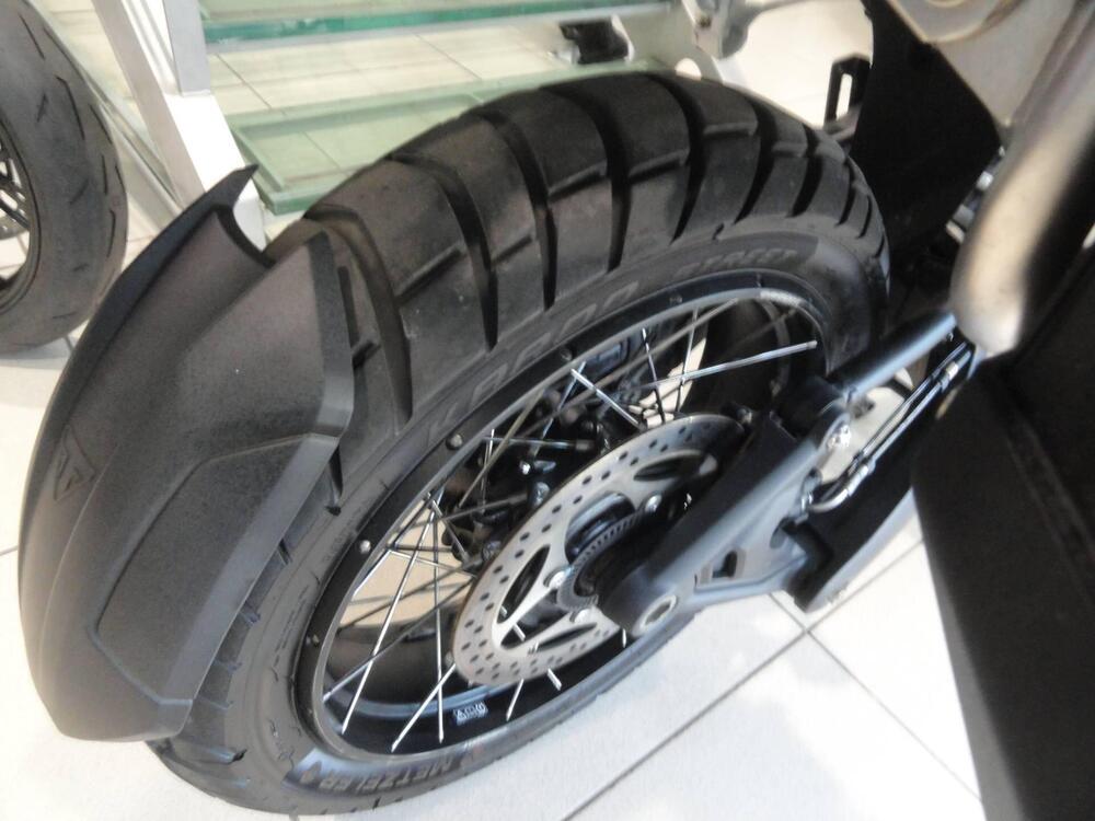 Triumph Tiger 1200 Rally Pro (2024 - 26) (13)