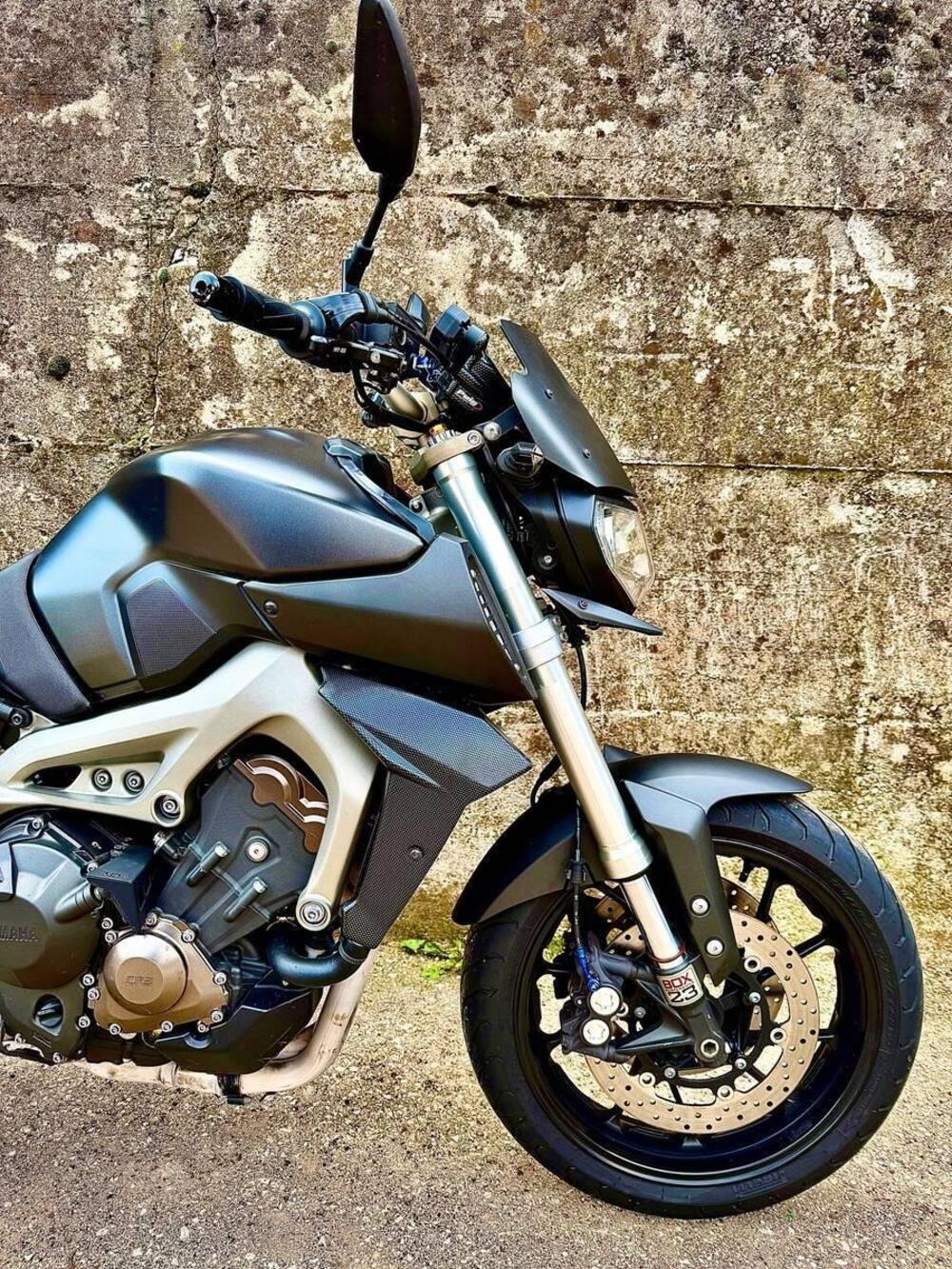 Yamaha MT-09 (2013 - 15) (11)