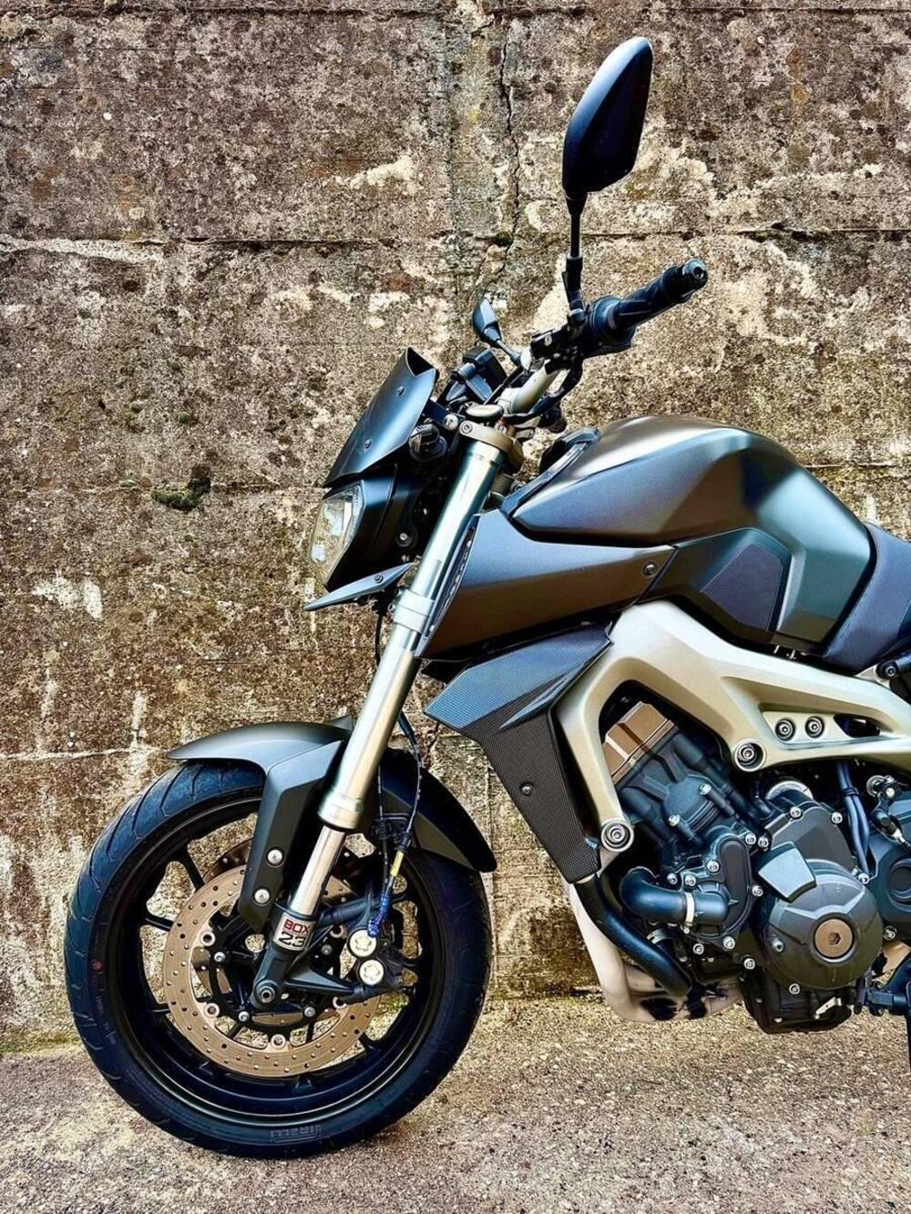 Yamaha MT-09 (2013 - 15) (12)