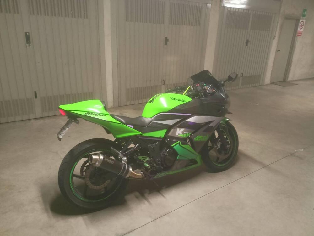 Kawasaki Ninja 250 R (2007 - 13) (2)