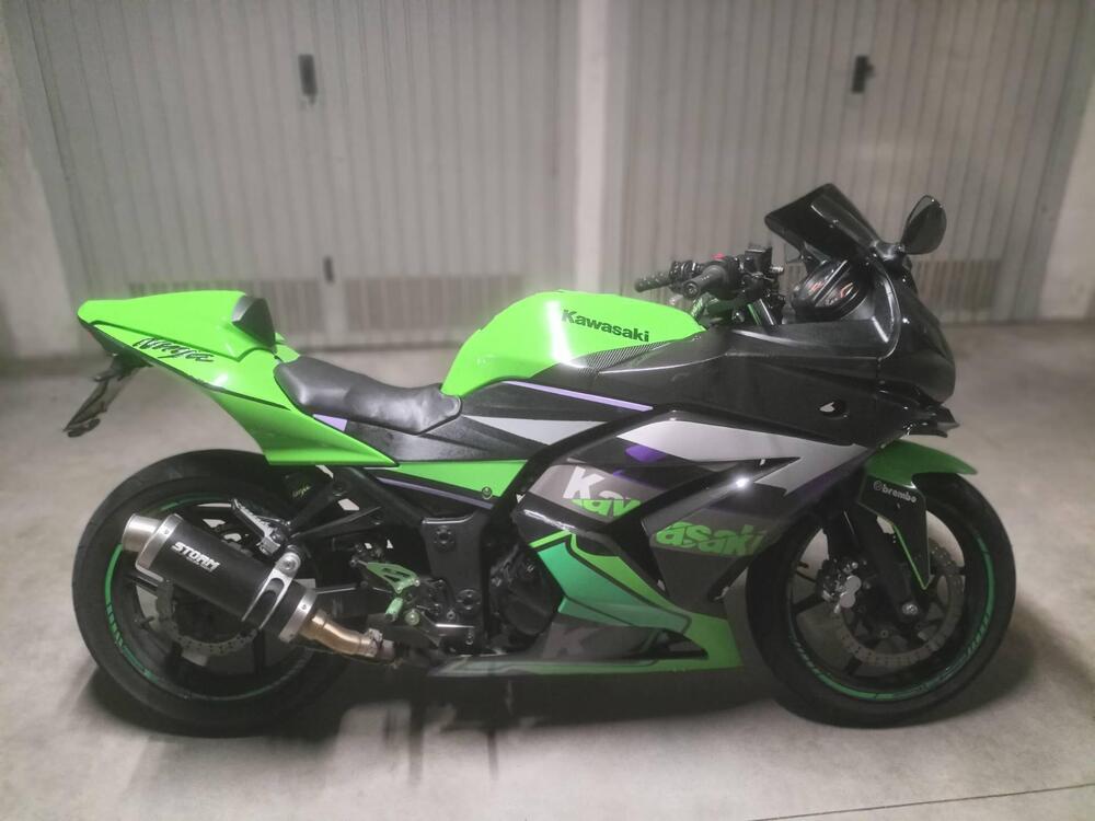 Kawasaki Ninja 250 R (2007 - 13) (3)