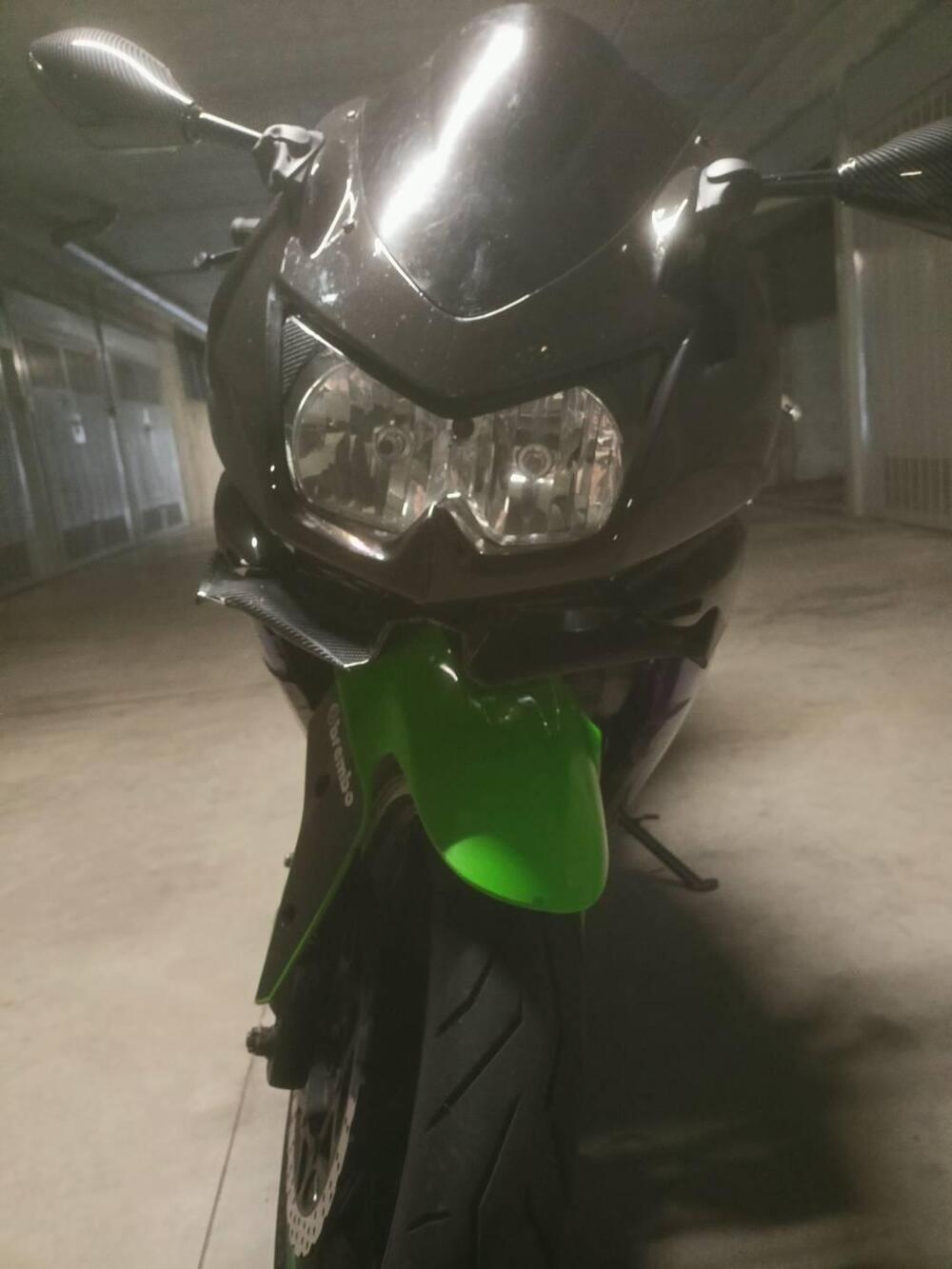 Kawasaki Ninja 250 R (2007 - 13) (9)