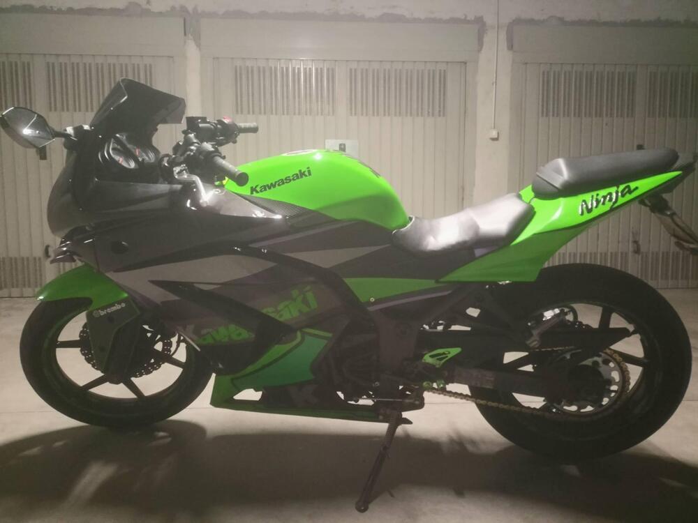 Kawasaki Ninja 250 R (2007 - 13) (12)