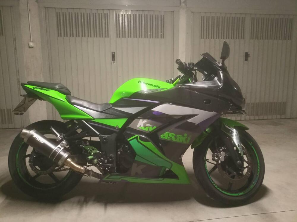 Kawasaki Ninja 250 R (2007 - 13) (13)