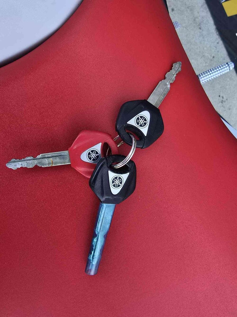 Yamaha YZF R6 (2006 - 07) (30)