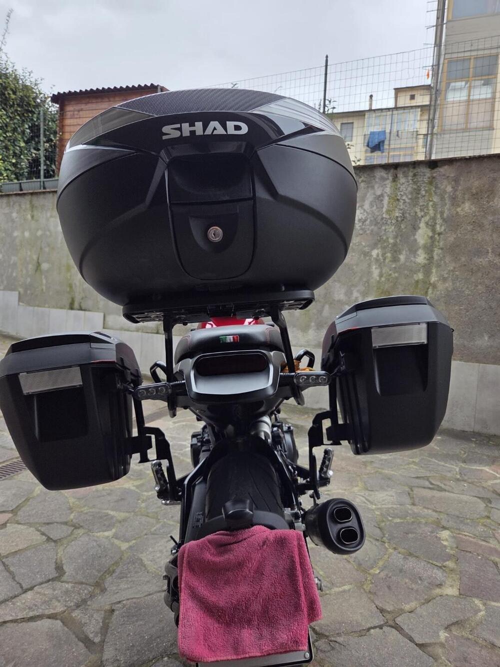 Benelli Leoncino 500 (2021 - 25) (2)