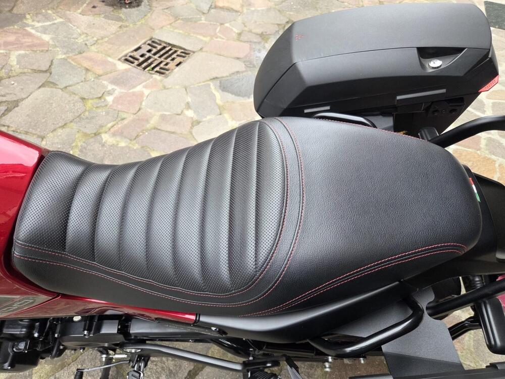 Benelli Leoncino 500 (2021 - 25) (4)