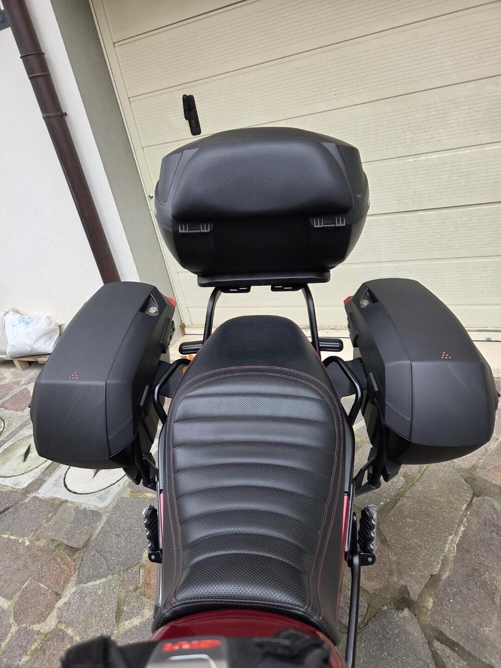 Benelli Leoncino 500 (2021 - 25) (5)