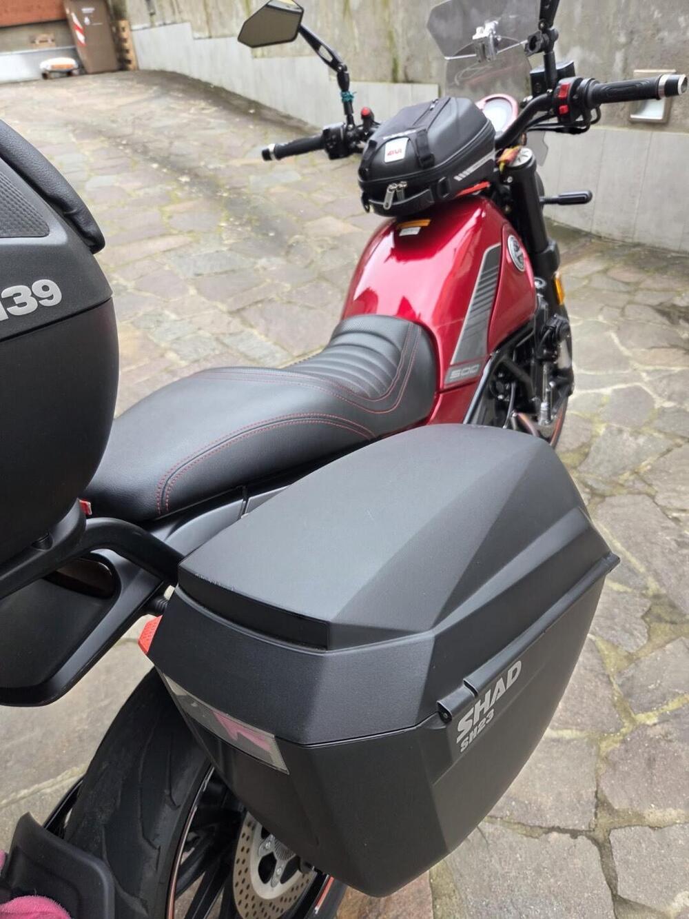 Benelli Leoncino 500 (2021 - 25) (6)