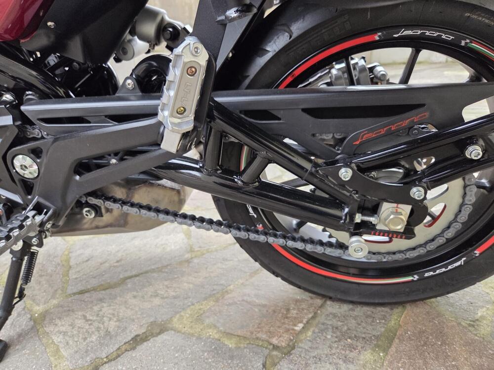Benelli Leoncino 500 (2021 - 25) (10)