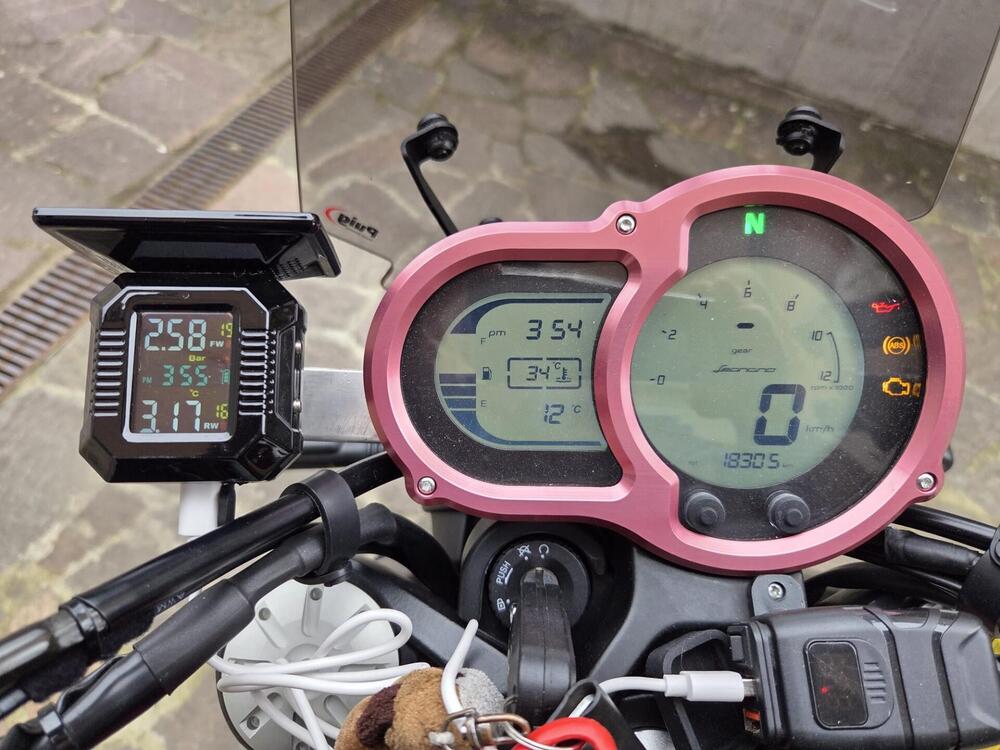 Benelli Leoncino 500 (2021 - 25) (11)