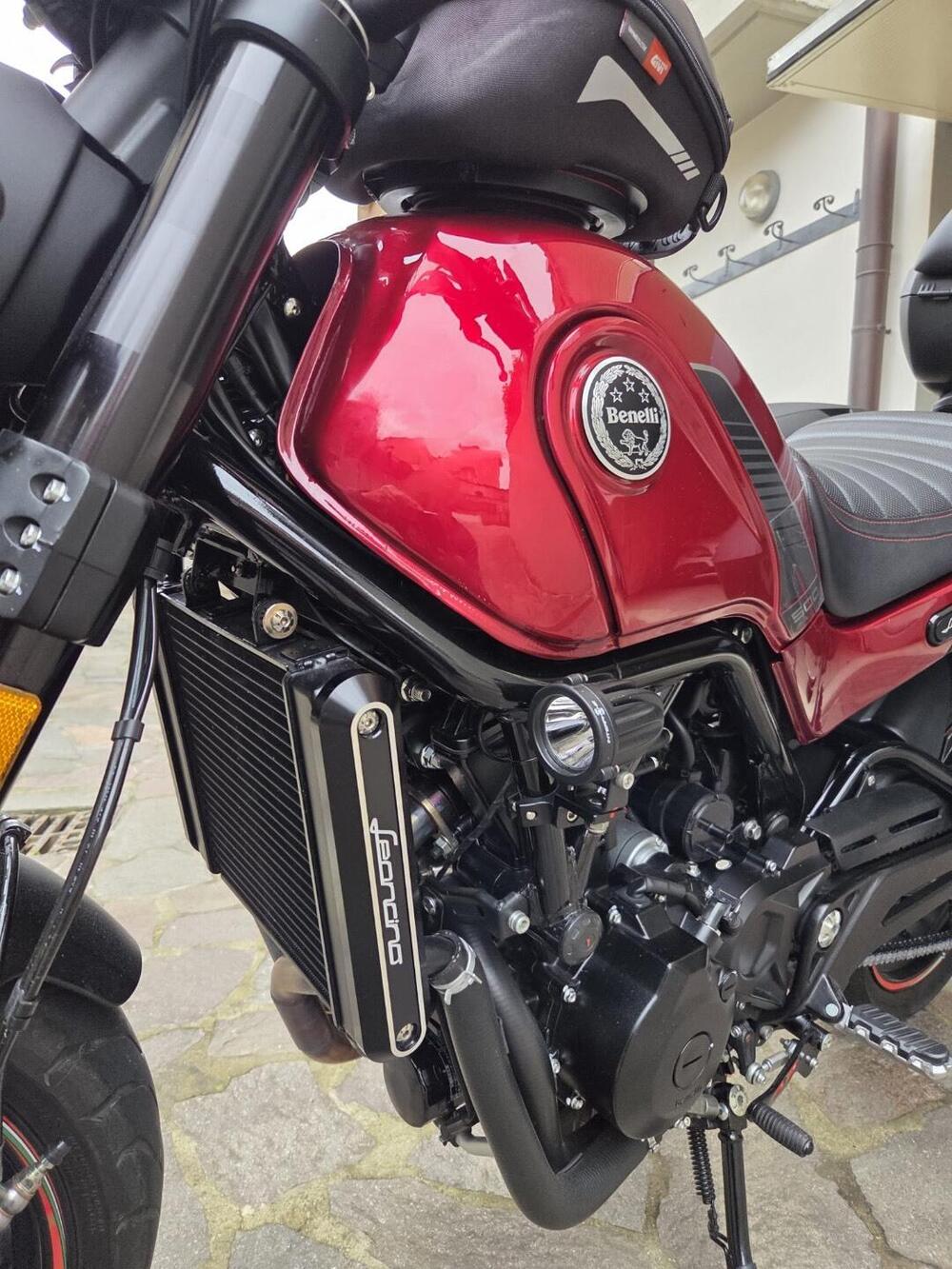 Benelli Leoncino 500 (2021 - 25) (12)