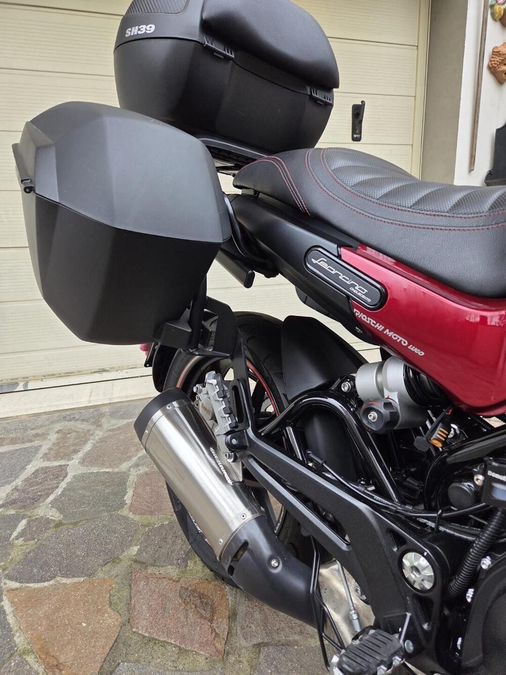 Benelli Leoncino 500 (2021 - 25) (13)