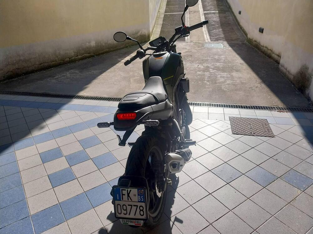 Benelli Leoncino 125 (2022 - 25) (3)