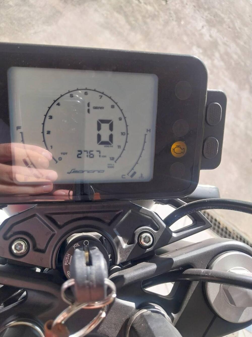 Benelli Leoncino 125 (2022 - 25) (5)