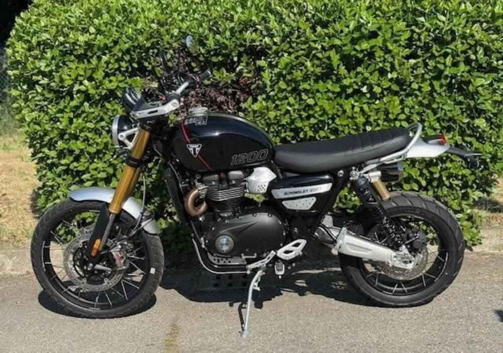Triumph Scrambler 1200 XE (2026) (4)