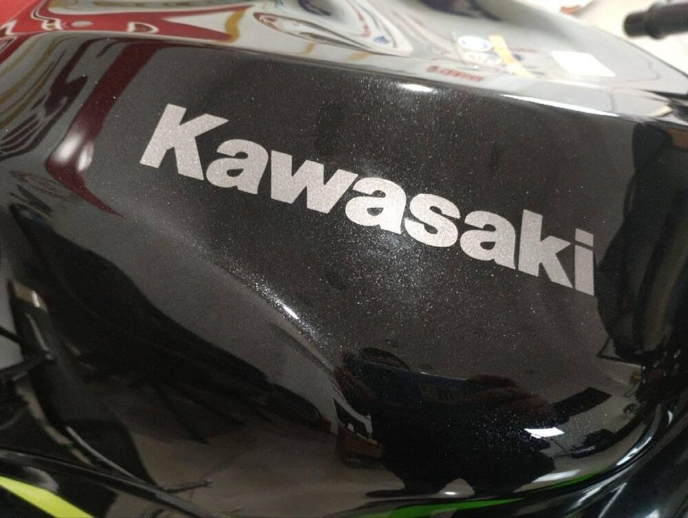 Kawasaki Ninja 636 ZX-6R (2024 - 26) (5)