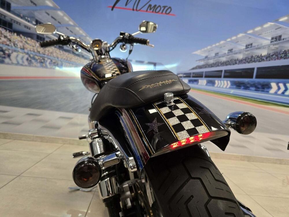 Harley-Davidson 1200 Custom (2004 - 06) - XL 1200C (8)