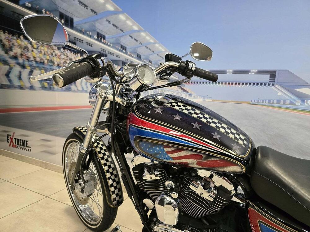 Harley-Davidson 1200 Custom (2004 - 06) - XL 1200C (11)