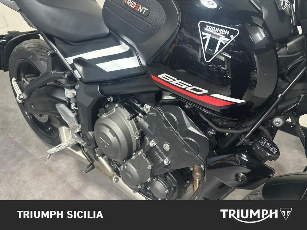 Triumph Trident 660 (2025) (8)