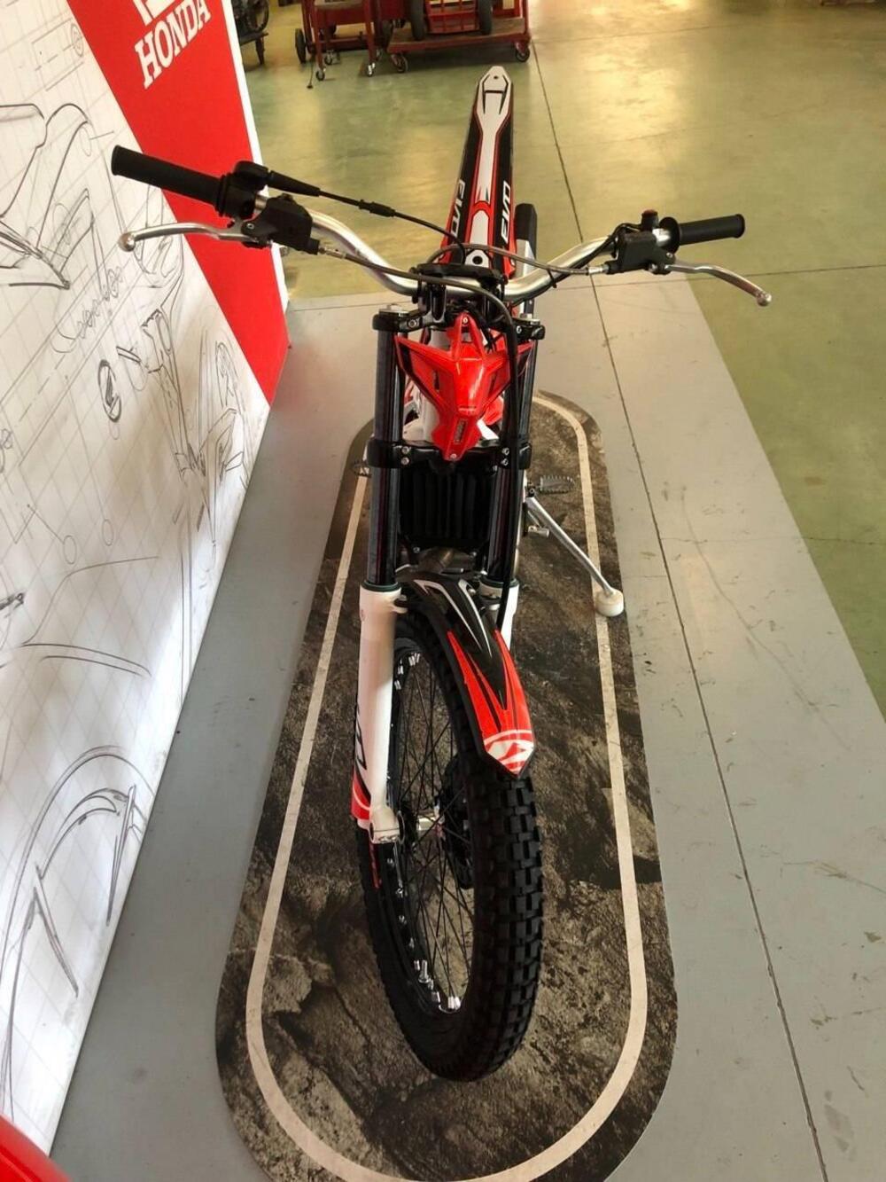 Betamotor Evo 300 2t (2019 - 20) (3)