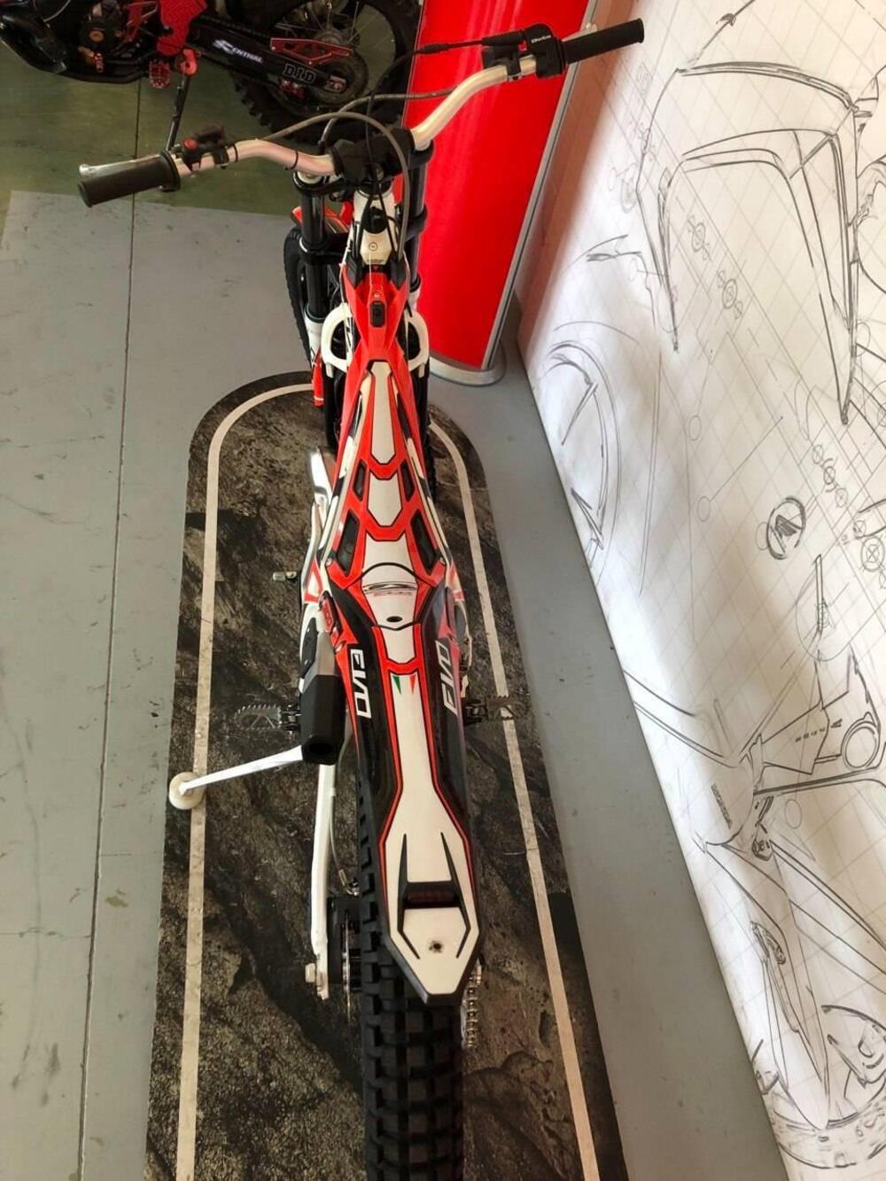 Betamotor Evo 300 2t (2019 - 20) (6)