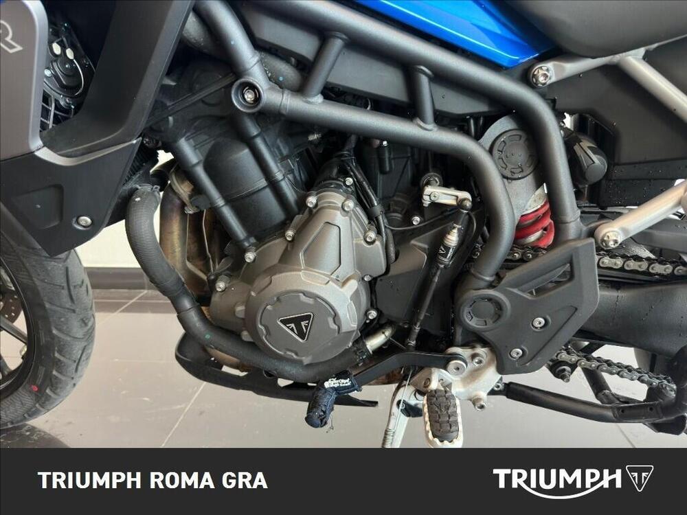 Triumph Tiger 900 GT Pro (2020 - 23) (13)