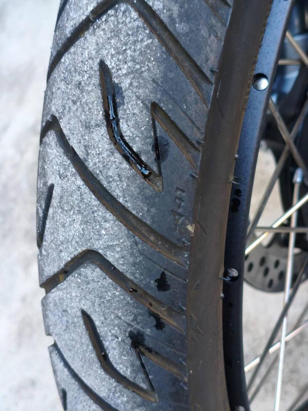 Bmw F 850 GS (2021 - 24) (6)