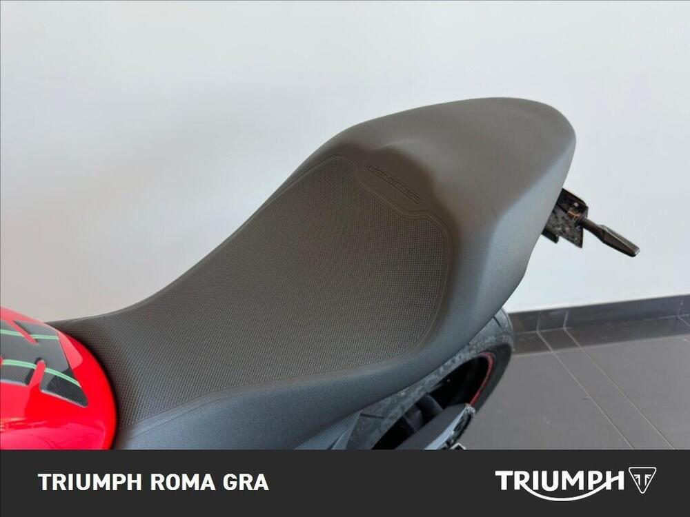 Ducati Monster 797 (2017 - 18) (13)