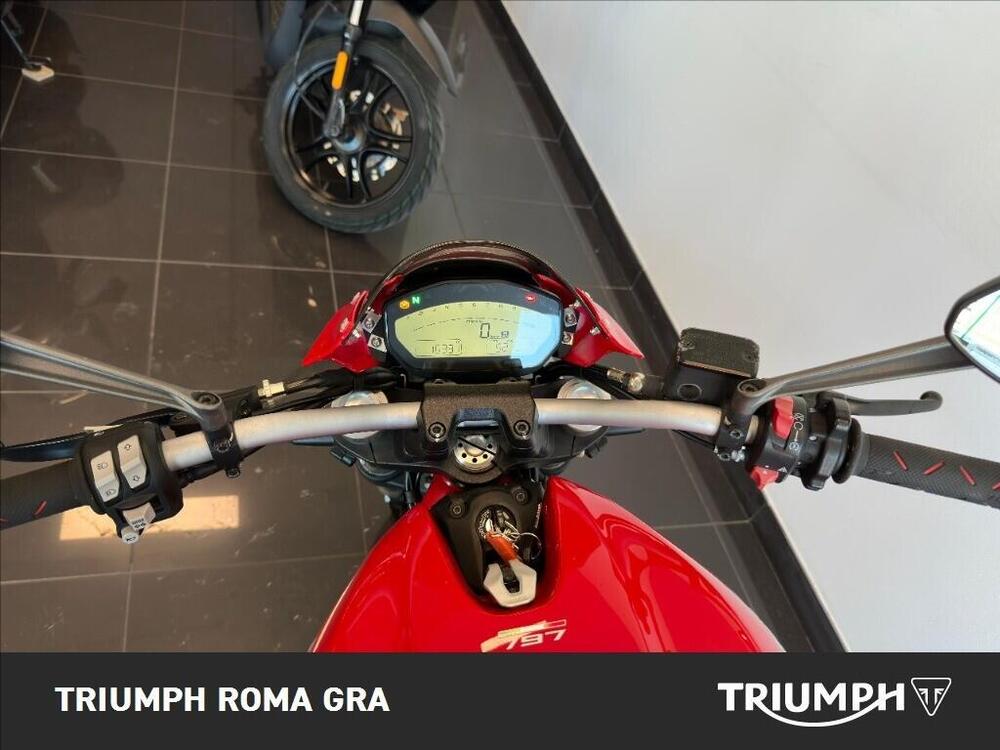 Ducati Monster 797 (2017 - 18) (14)