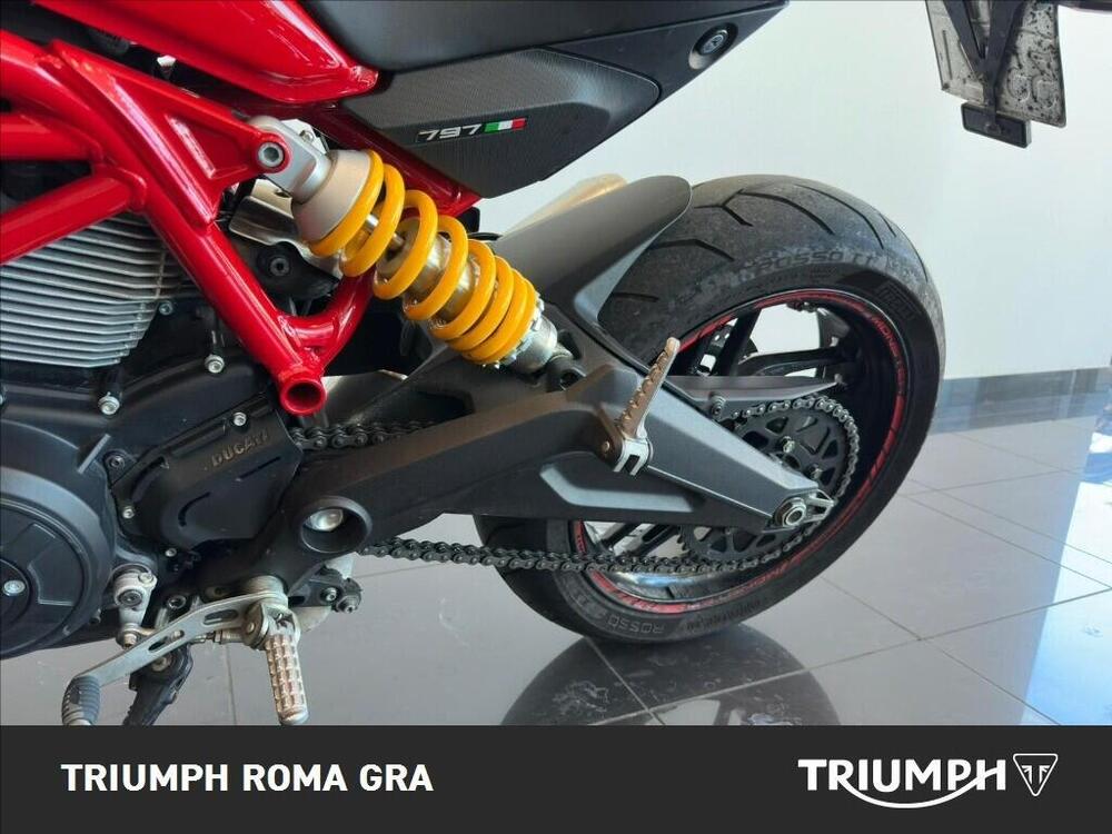 Ducati Monster 797 (2017 - 18) (12)
