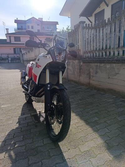 Yamaha T&eacute;n&eacute;r&eacute; 700 (2019 - 20) usata