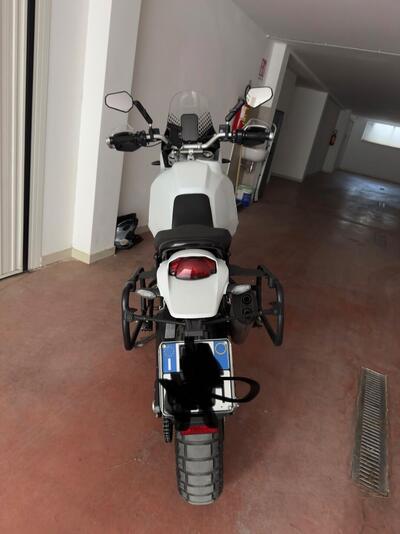 Ducati DesertX (2022 - 25) usata