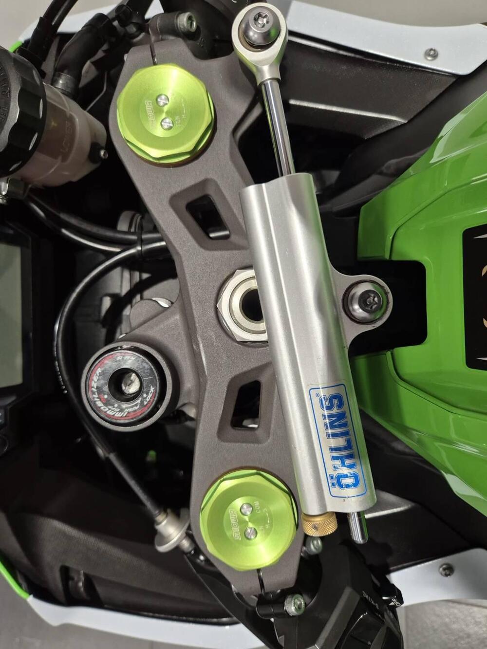 Kawasaki Ninja 1000 ZX-10R ABS (2011 - 15) (11)