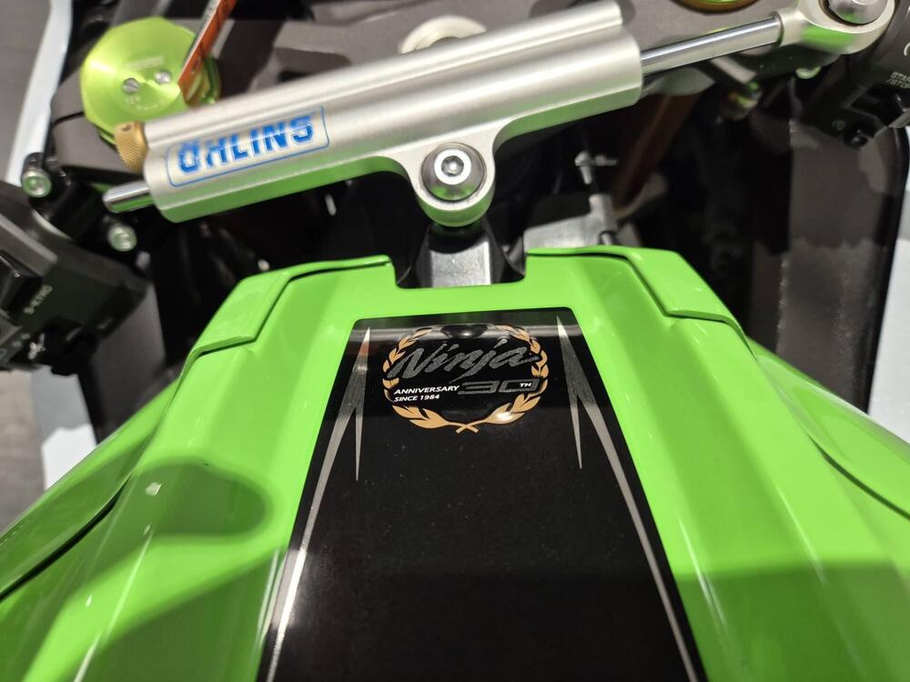 Kawasaki Ninja 1000 ZX-10R ABS (2011 - 15) (12)