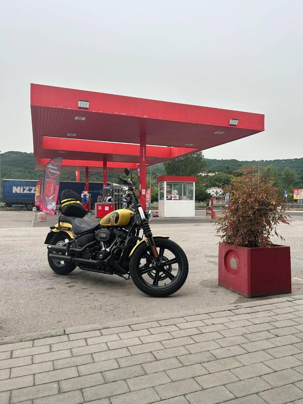 Harley-Davidson Street Bob 114 (2021 - 24) (2)