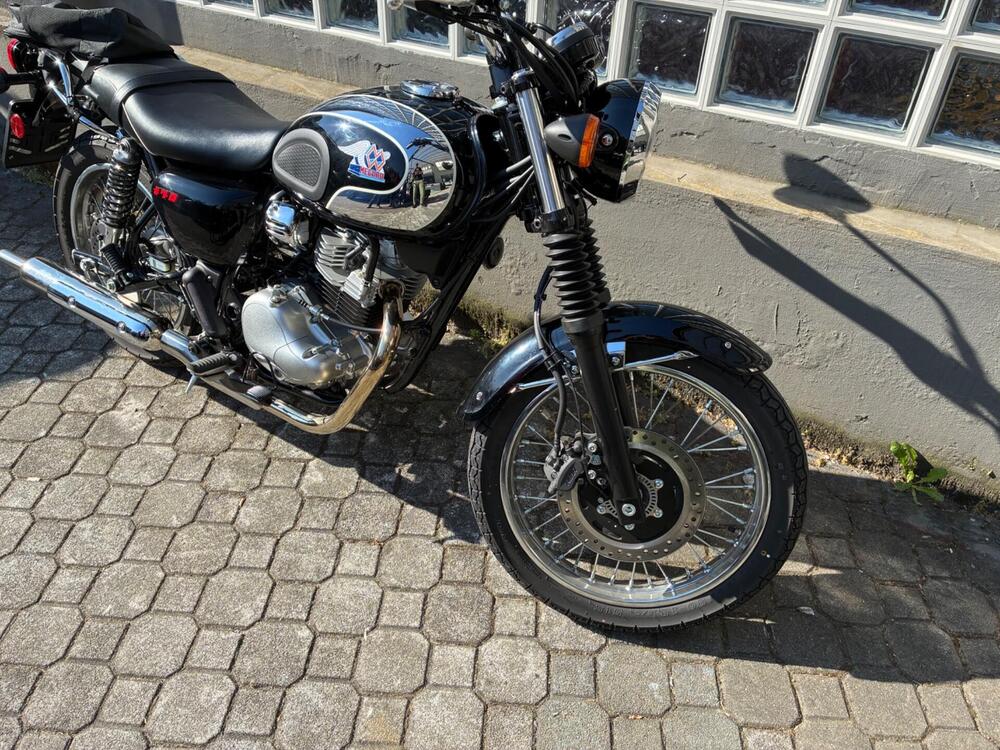 Kawasaki W 230 (2025 - 26) (2)