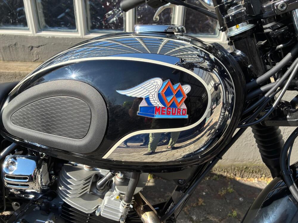 Kawasaki W 230 (2025 - 26) (3)